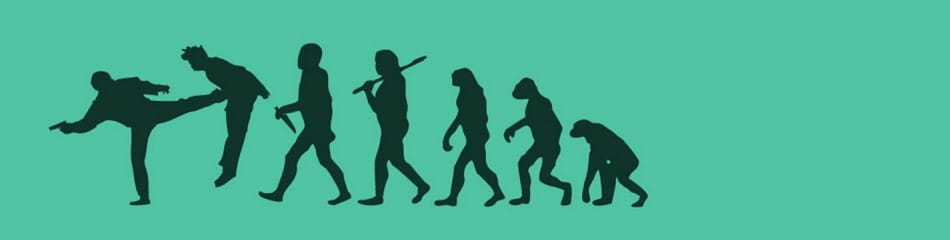 Devrin Devrimsel Devinimi